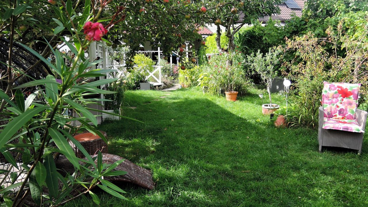 GardenSummer GardenSummer